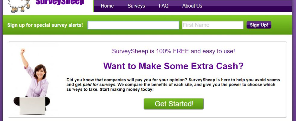 Survey Sheep Review