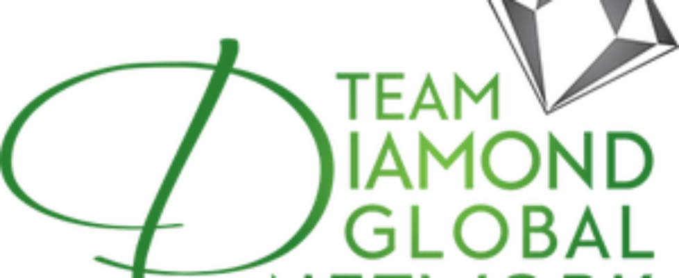 Team Diamond Global Network Review